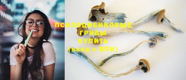 стафф Няндома