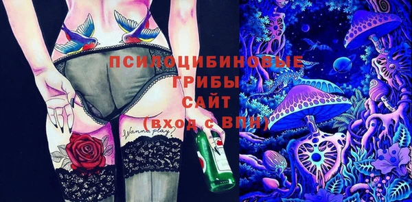 бошки Абдулино