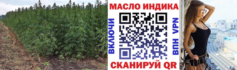 hydra маркетплейс  Сальск  Дистиллят ТГК THC oil 